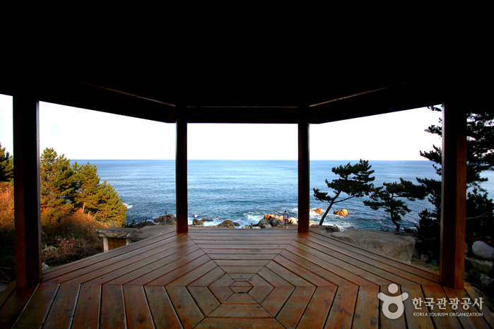 영덕 가볼만한곳 베스트10