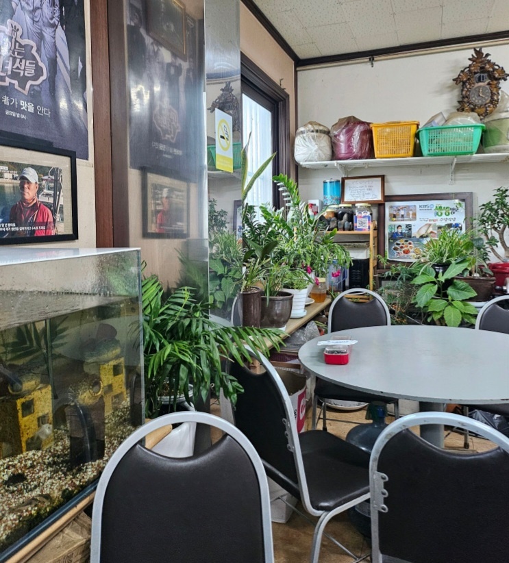 동네한바퀴 경남 고성 제철 회백반 맛집 정보