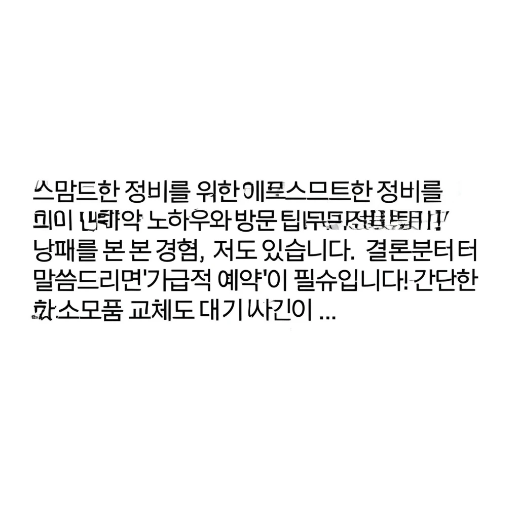 현대자동차 블루핸즈 수영구 서비스 네..