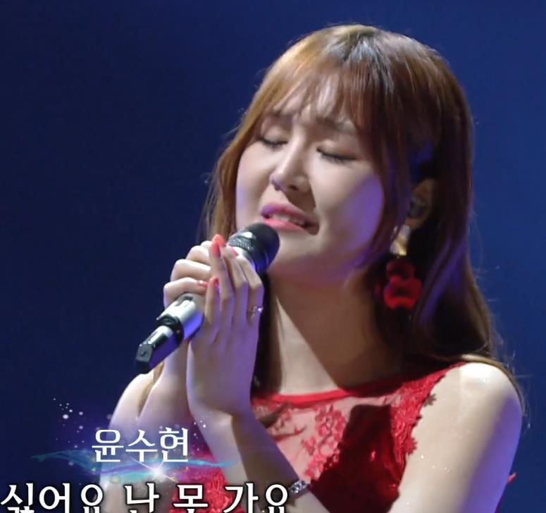 윤수현 꽃길