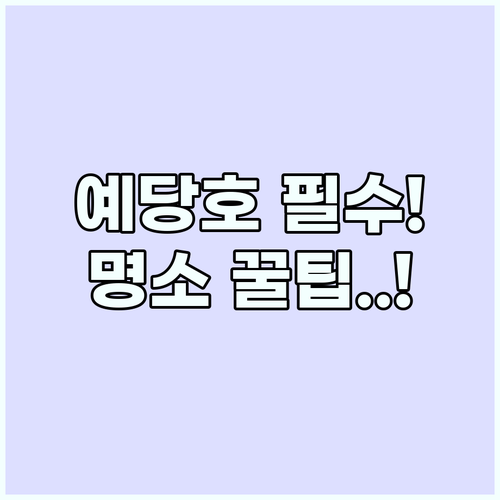 예당호 어드벤처와 주변 명소 함께 즐..