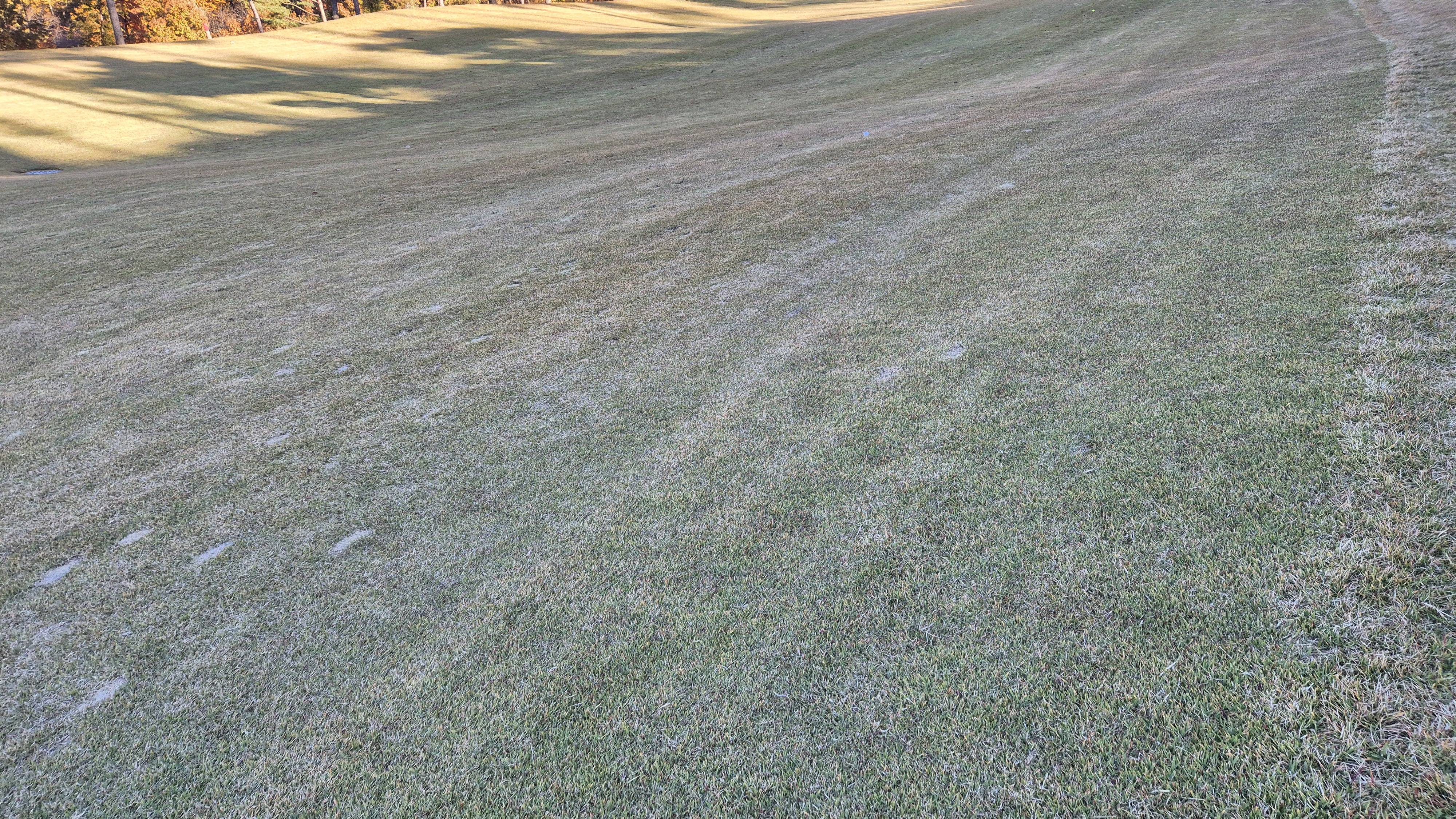 레이캐슬cc 코스 난이도