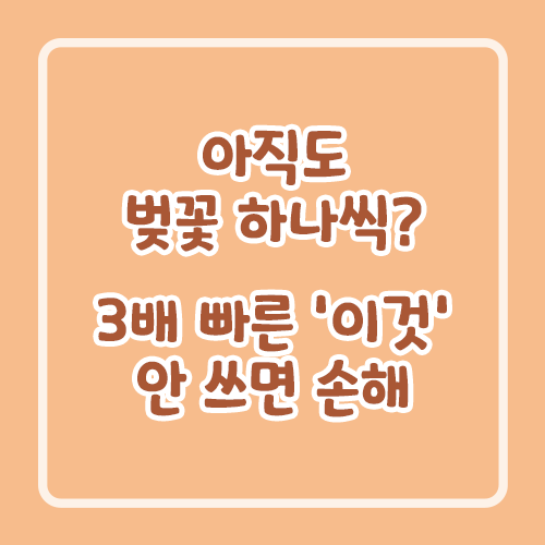 아직도 벚꽃 하나씩? 3배 빠른 '이것' 안 쓰면 손해