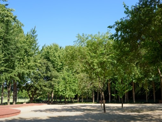 태화강 국가정원