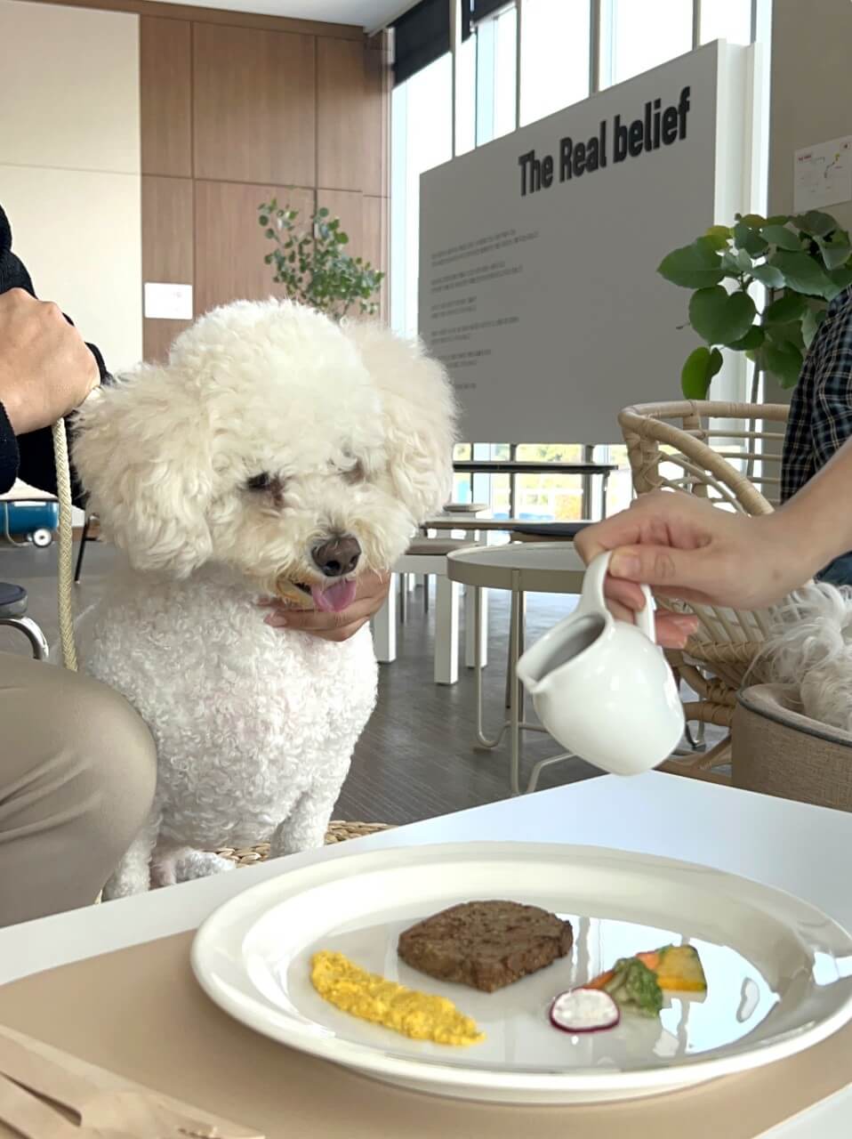 오늘N 오늘 대(大)공개 충남 공주 반려동물 사료 공장 하림펫푸드 해피댄스스튜디오(HDS) 투어 예약방법 오늘N 2495회