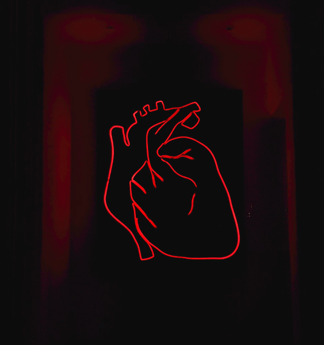 심장을 튼튼하게 하는 운동과 음식 추천