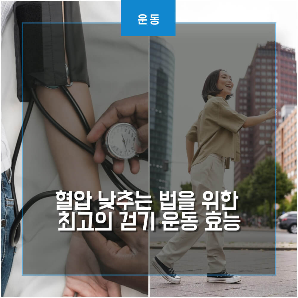 혈압과 걷기운동