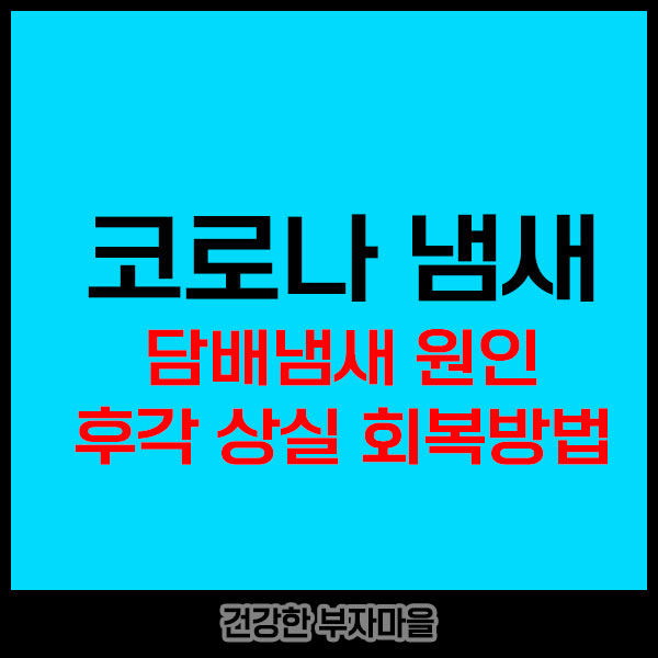 코로나 냄새