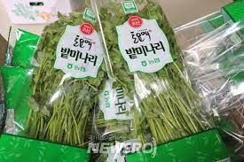 의령가례 밭미나리 축제 기본일정과 프로그램 소개