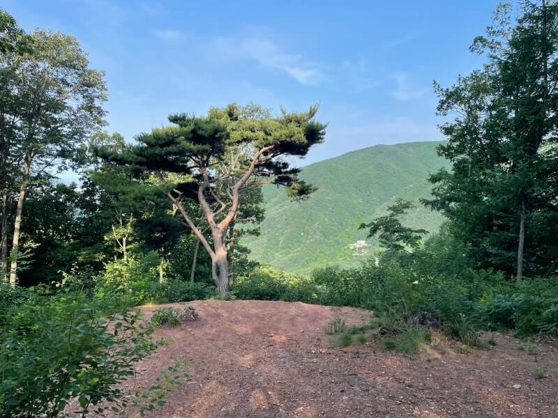 설매재 자연휴양림 관련 사진