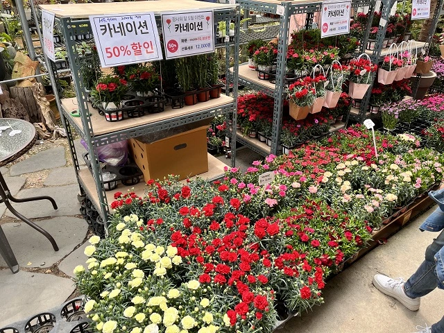 조인폴리아-쇼핑-센터