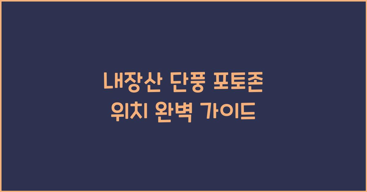 내장산 단풍 포토존 위치