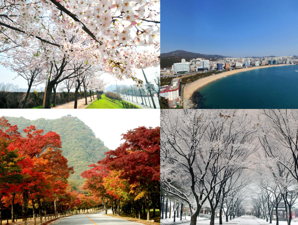 사계절 절경 관련 사진