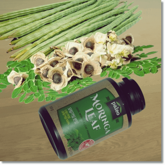 모링가 먹는 법과 주의점