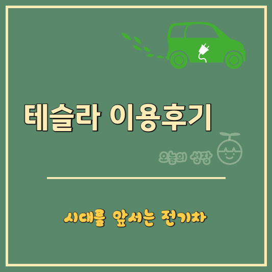 테슬라 모델3를 직접 이용한 후기 글 (로고)