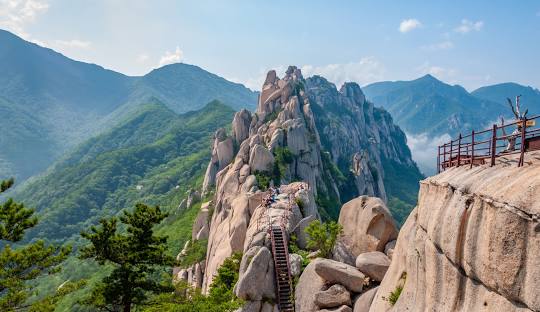 8월 국내 여행지 추천 베스트