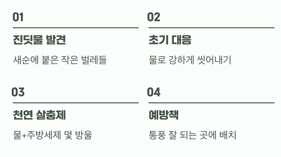 우리 집 딜을 위협하는 불청객