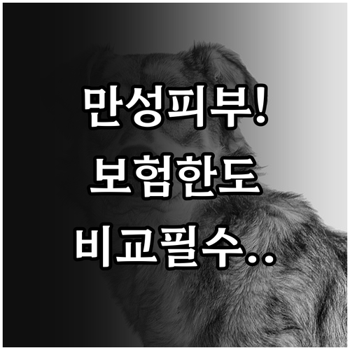 만성 피부병 강아지 보험 약값 보장 ..