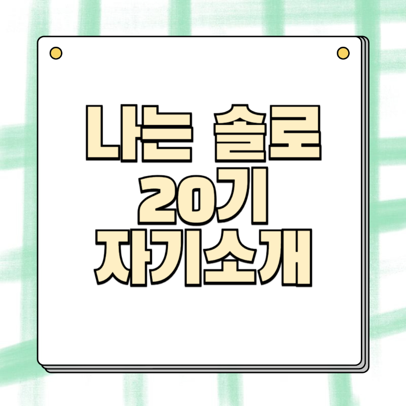 나는솔로20기직업