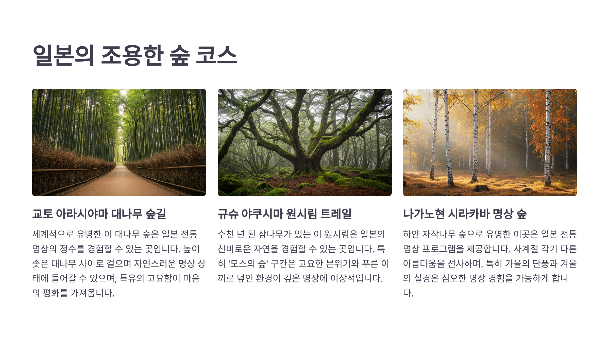 ⛩ 일본의 조용한 숲 코스