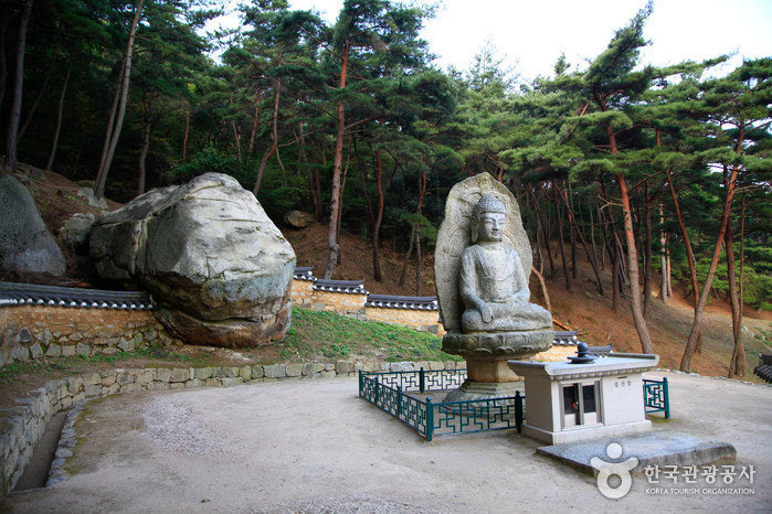 보리사