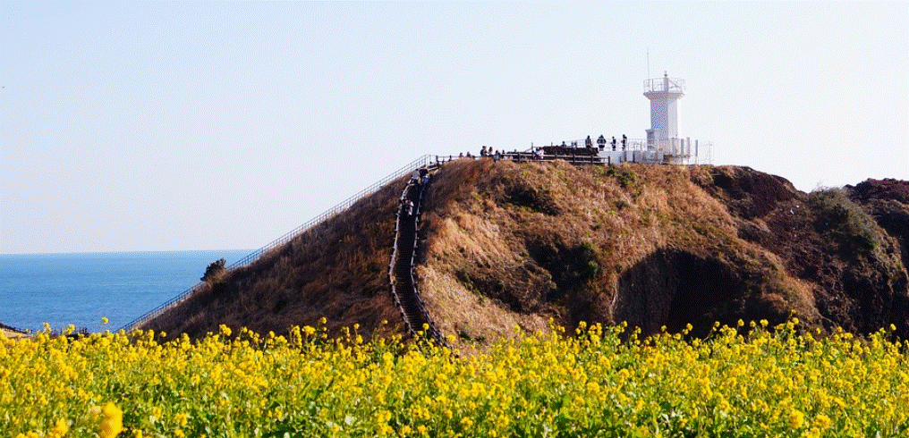 제주도 여행 사진