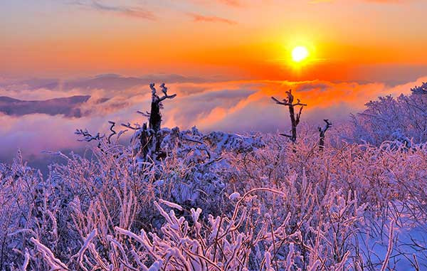 덕유산 등산코스