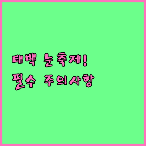 2025년 태백산 눈축제 정보와 겨울..