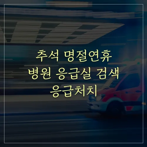 추석-명절연휴-병원-응급실-검색-응급처치