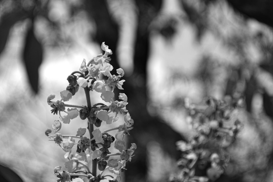 Transition