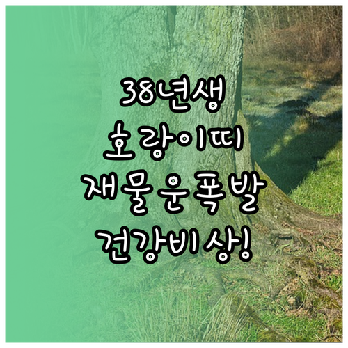 2026년 3월 호랑이띠 1938년생..