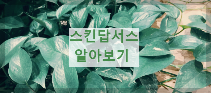 스킨답서스 알아보기