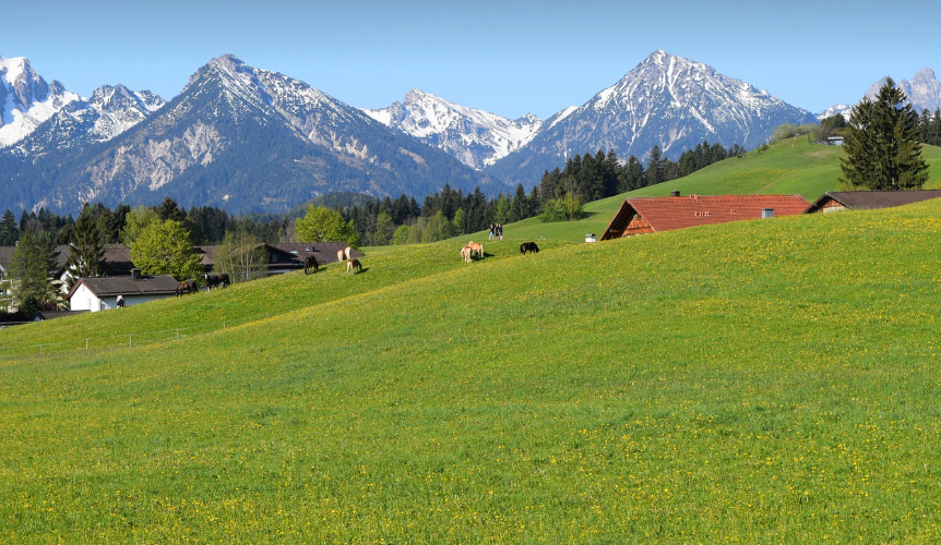 독일 여행지 퓌센