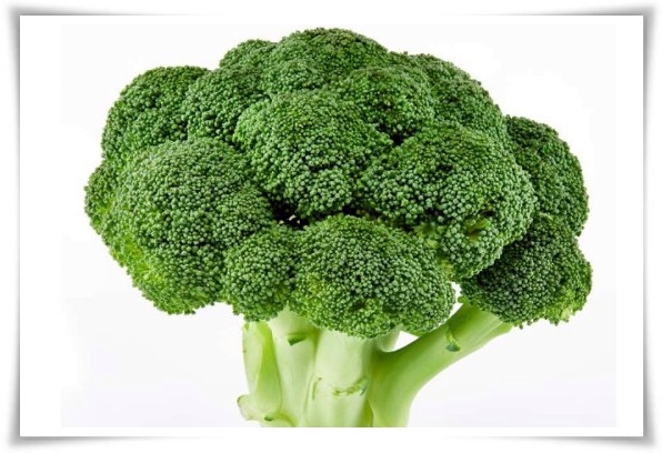 텃밭 "9월에 심기 좋은 작물" 풍성한 수확 기대해도 좋아요!