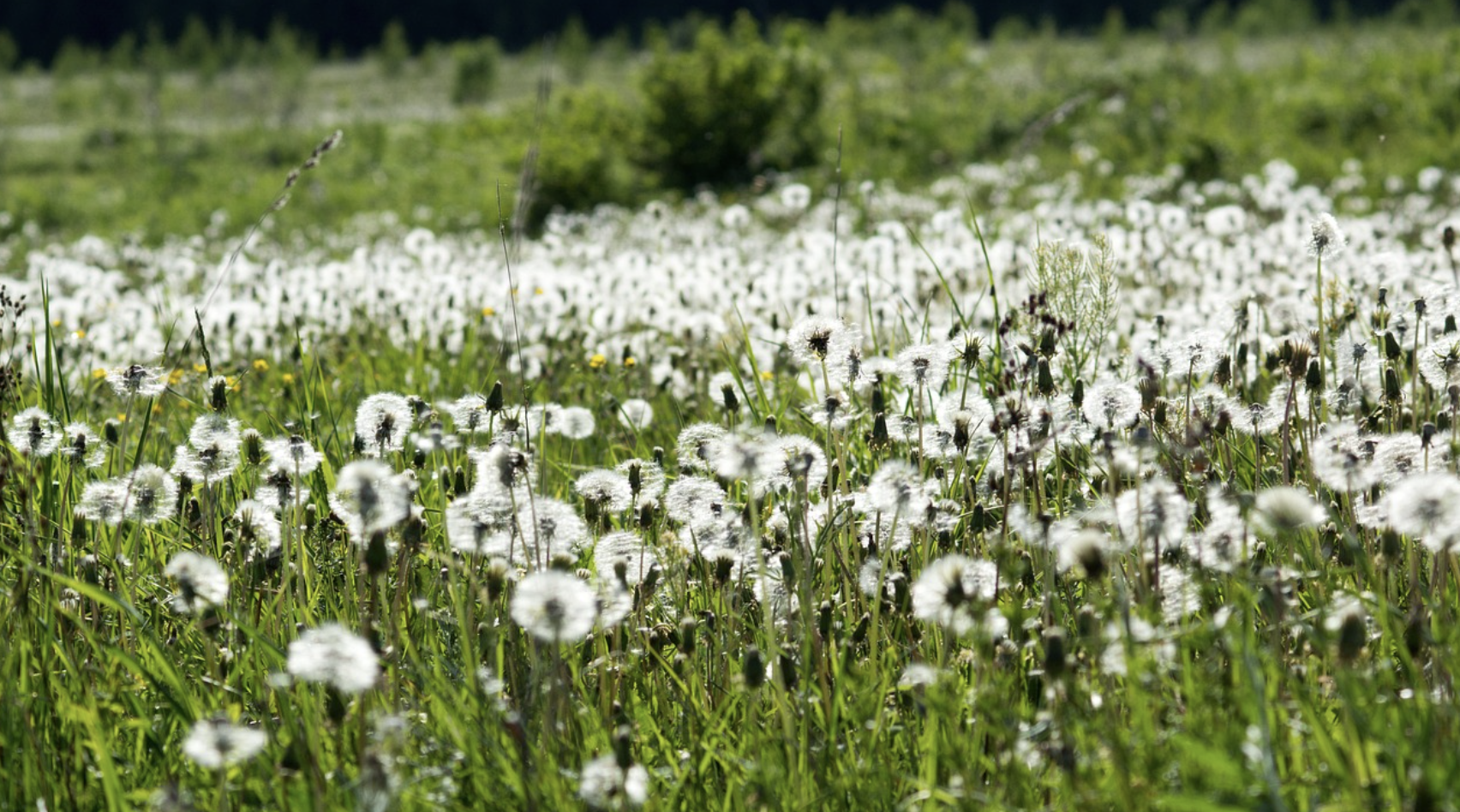 봄철 환기 방법 총정리|실내를 쾌적하게 만드는 자연환기 팁