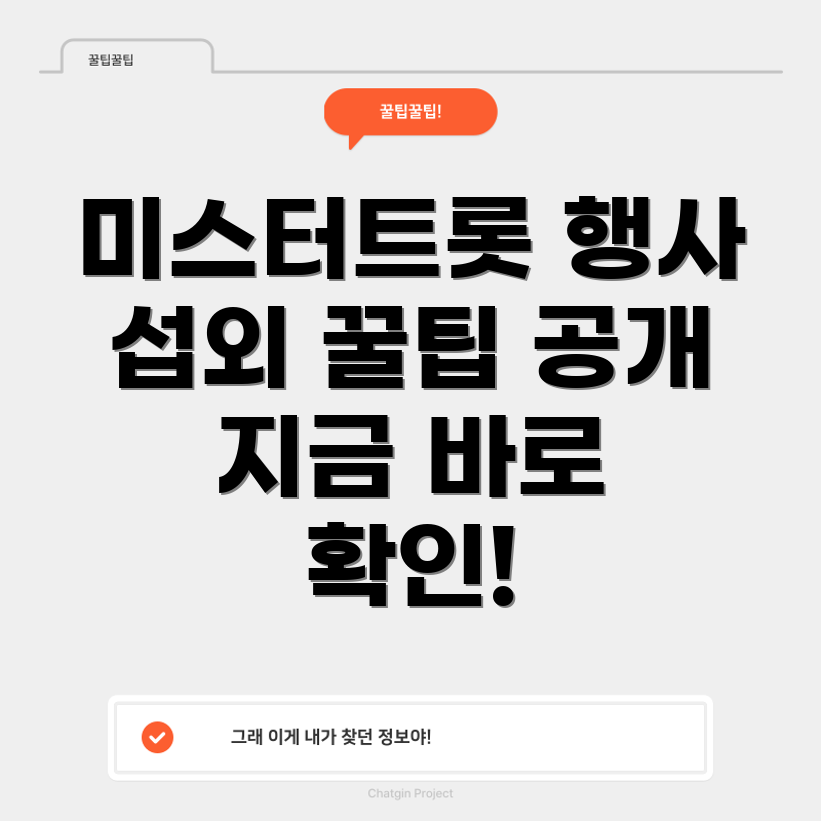 미스터트롯 행사