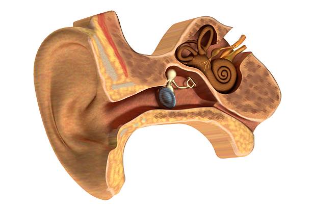 이석증 자가치료