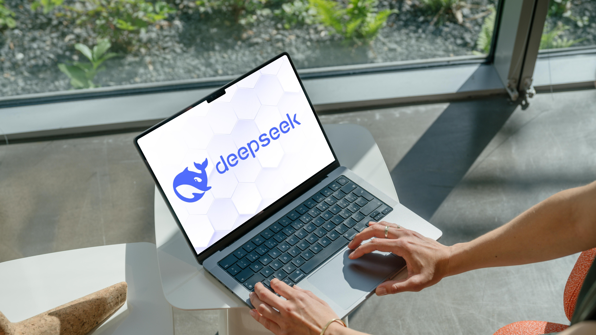 중국의 AI 딥시크