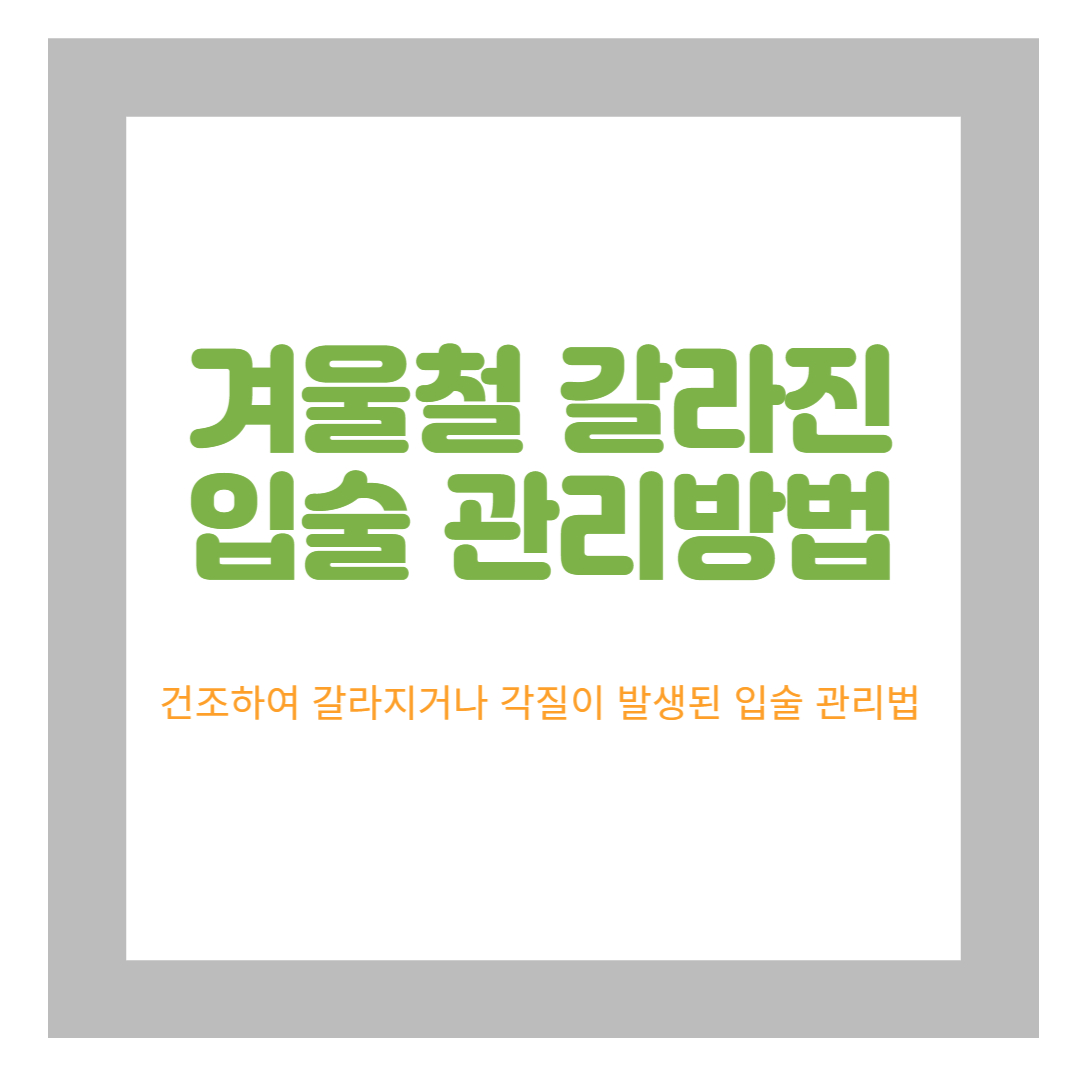 건조한 입술관리