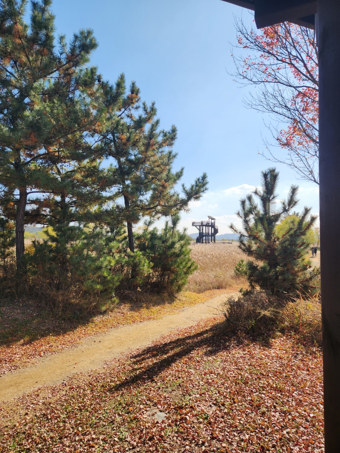 소래습지생태공원 조류관찰대