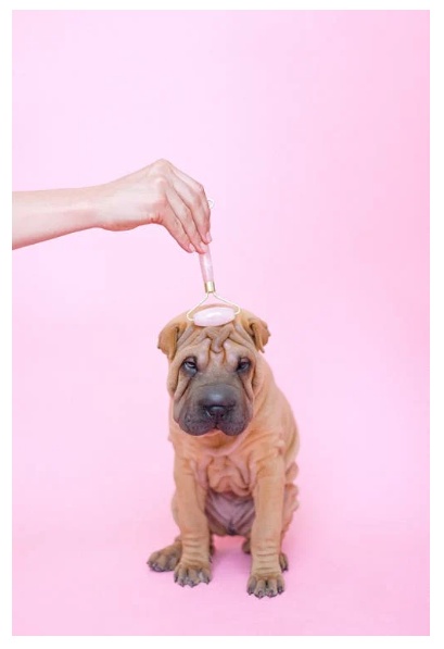 집에서 하는 주름관리법