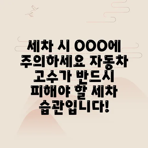 세차 시 OOO에 주의하세요 자동차 고수가 반드시 피해야 할 세차 습관입니다!