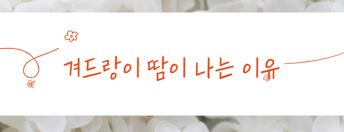 겨드랑이 땀이 나는 이유