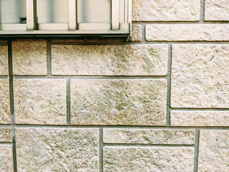 오래된 외벽에서 관찰한 곰팡이 확산 경로 시각화 프로젝트