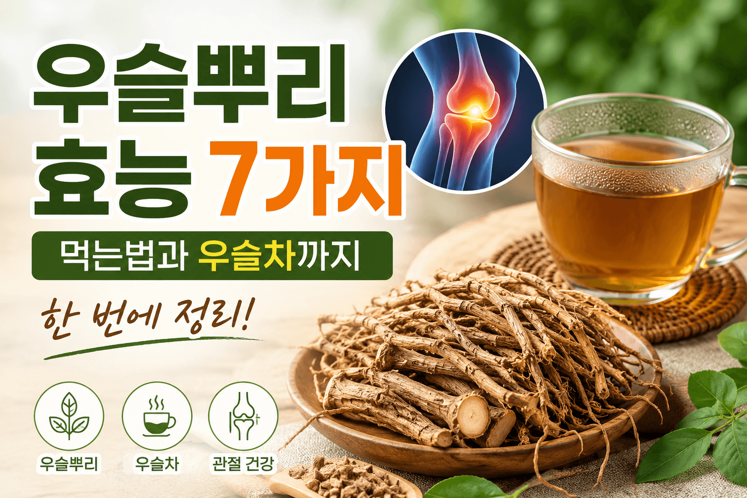 우슬뿌리 효능 7가지, 먹는법과 우슬차까지