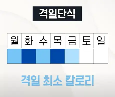 격일단식 시간표