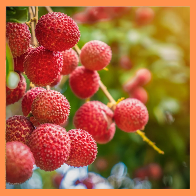 농식품바우처지원대상