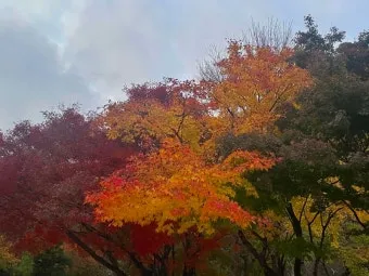 단풍구경 전국 명산 50대 이상 안전한 등산로 추천_25