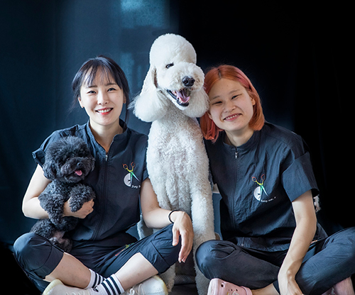 아파트반려견산책-갈등해소의 길-상호이해