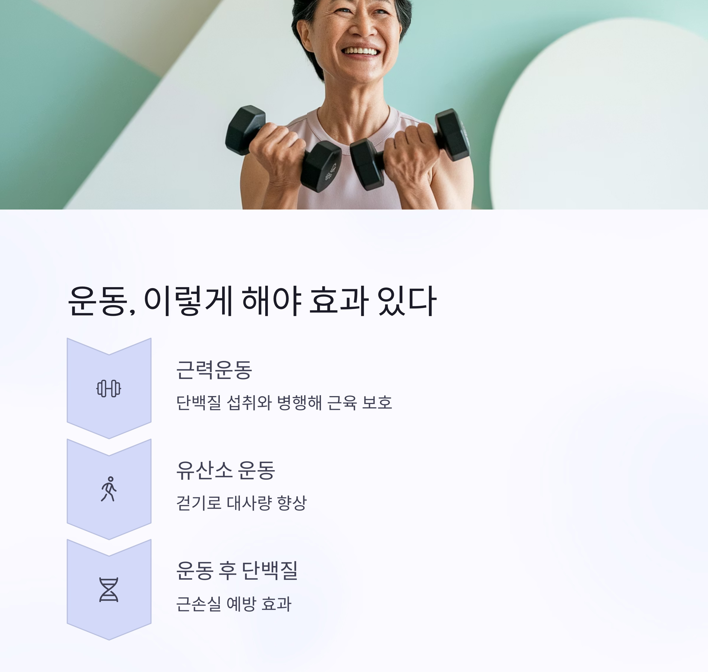 중년다이어트